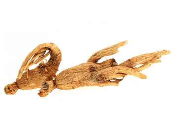 Ginseng on a white background
