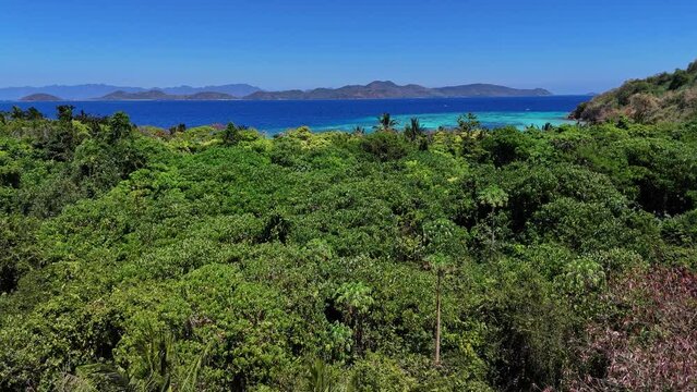 Drone footage over jungle on a tropical island near Palawan in the Philippines.