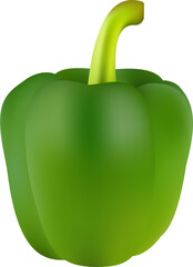 a green pepper with a green stem.