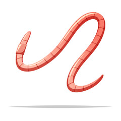 Earthworm vector isolated illustration design