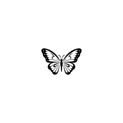 Fototapeta na wymiar Butterfly logo icon design vector template