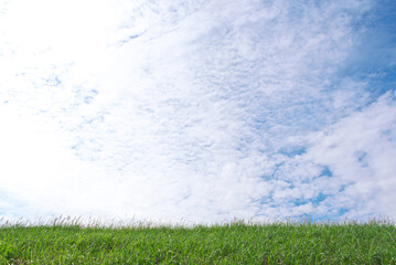 Obraz na płótnie Canvas 空の鱗雲と草原
