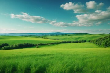 Obraz premium beautiful natural scenery of green fields with clear sky