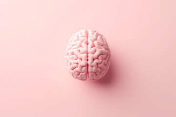 A pink brain is shown on a pink background