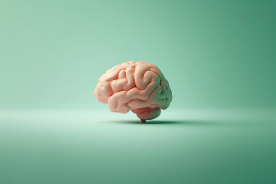A pink brain is shown on a green background