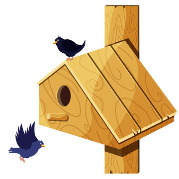 wooden birdhouse and two starlings living in it