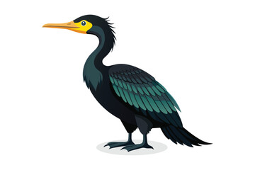 Cormorants bird isolated flat vector illustration.