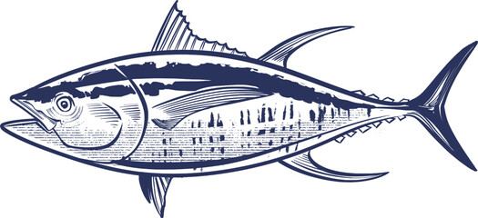 vector illustration of the Tuna fish on a white background