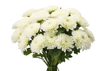 Vase of White Flowers on Table. On a White or Clear Surface PNG Transparent Background..