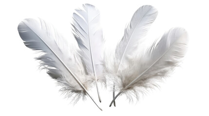 Obraz premium Three White Feathers on a White Background. On a White or Clear Surface PNG Transparent Background..