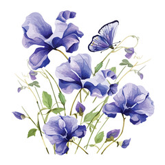 Butterfly Pea clipart isolated on white background