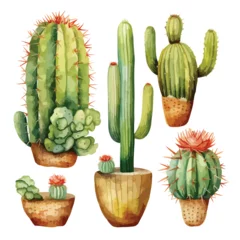 Fotobehang Cactus Cactus Plant Watercolor Clipart clipart isolated on white