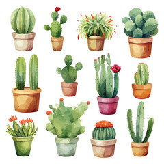 Cactus Plant Watercolor Clipart clipart isolated on white