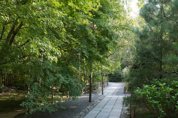 Quiet paths and green trees in the temple