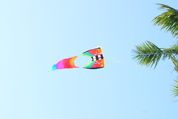 Colorful kite flying in the blue sky in summer at Mekong Delta Vietnam.