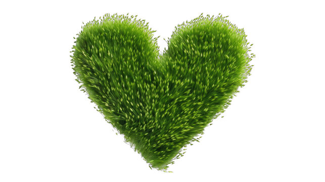 Create A High quality Fresh grass in heart shape