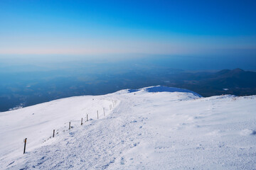 大山の登山道