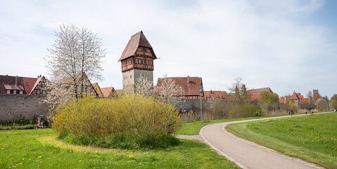 Fototapeta na wymiar walkway around the city wall of historic old town Dinkelsbuhl, middle franconia