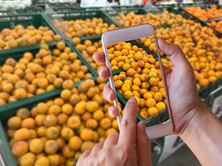 Hand holding smartphone with blurred tangerines background