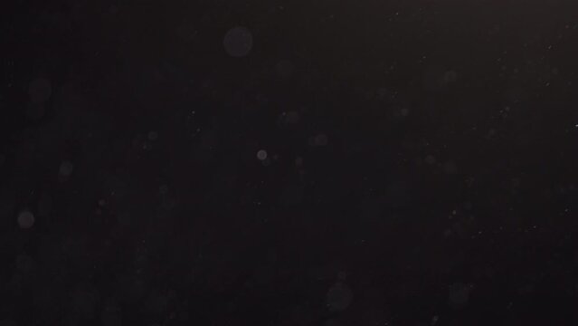 Floating dust particles, large bokeh, slow motion, loop footage 02