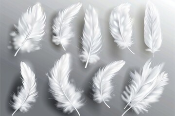 An isolated set of white fluffy feathers with shadows from a bird or angel's wings. A symbol of purity, delicacy, and softness.