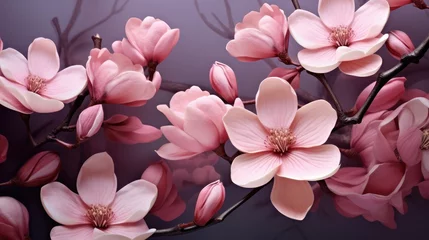Zelfklevend Fotobehang pink magnolia flowers © Wallpaper