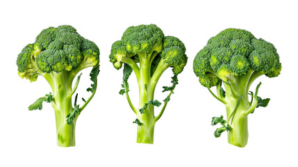 three broccoli inflorescences on a white isolated background - obrazy, fototapety, plakaty