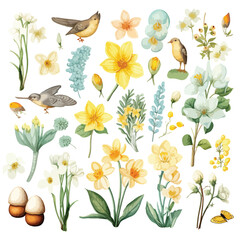 Easter and Spring Clipart clipart isolated on white background
