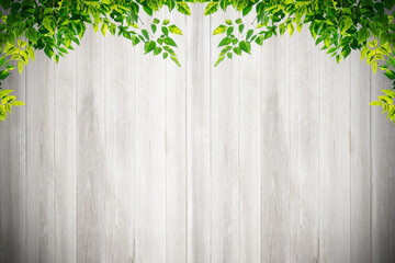 Old grunge white natural wood wall texture and background