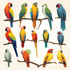 Exotic Parrots Clipart clipart isolated on white background