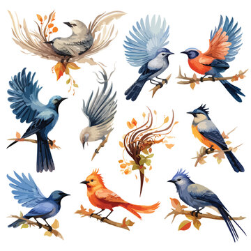 Fantasy Birds Clipart clipart isolated on white background