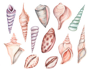 Set with watercolor illustrations of vintage seashells isolated on white background. Marine collection of hand drawn sea shells. Can be used in stickers, textiles, scrapbooking and wrapping paper.