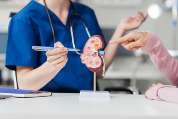 Kidney disease, Chronic kidney disease ckd, Female doctor explains the causes of the disease and...
