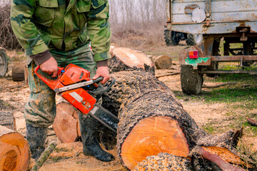Woodcutter, logger, is cutting firewood, logs of wood, with motor chainsaw