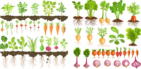 Fresh organic healthy food growing, farming - obrazy, fototapety, plakaty