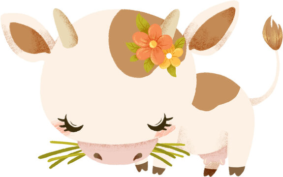 Cute cartoon milky cow with wreath of flowers eats. Kawaii cow illustration for dairy products or farm pictures. Transparent background