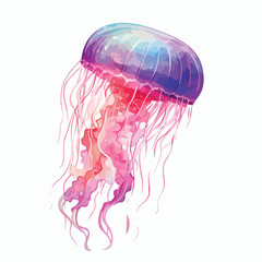 Jellyfish single clipart