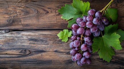 Blur vineyard and grape background. stock photo