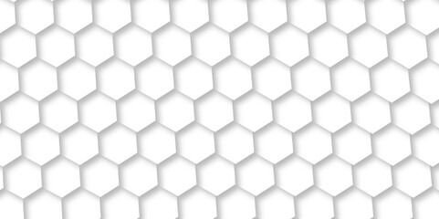 Abstract white and grey lines 3d Hexagonal structure futuristic background. Modern simple style hexagonal graphic concept. White hexagonal pattern background, with copy space abstract banner use. 