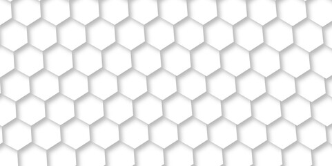 Naklejka premium Abstract white and grey lines 3d Hexagonal structure futuristic background. Modern simple style hexagonal graphic concept. White hexagonal pattern background, with copy space abstract banner use. 