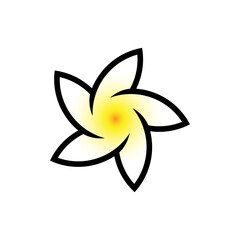 alba flower plant vector white yellow color