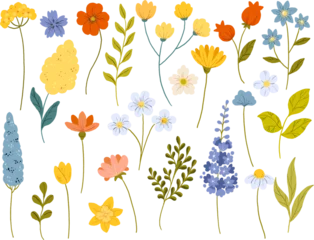 Foto op Plexiglas Wildflower. Botanical illustration with colorful flowers. Transparent background. © LukaJreym