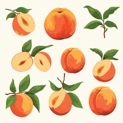 Peaches Clipart clipart isolated on white background