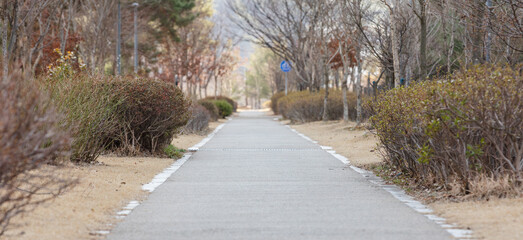 A bicycle path in a quiet park.