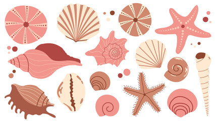 Sea shells set, mollusks, starfish,  flat illustration of seashells collection isolated on white for stickers