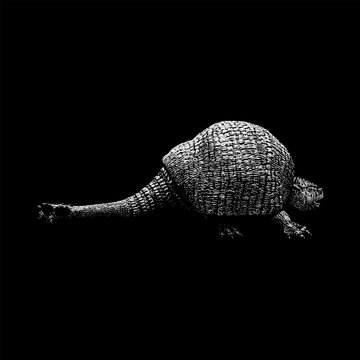 Doedicurus hand drawing vector isolated on black background.