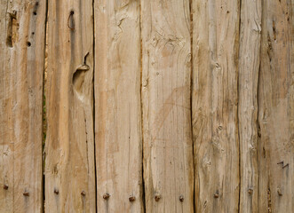 Old weathered wooden plank texture, with nail and knots hole background