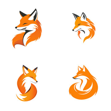Fox Logo Design Vector Template