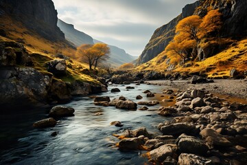 stylist and royal River, rocky canyon, autumn trees on mountain landscape in Iceland, space for text