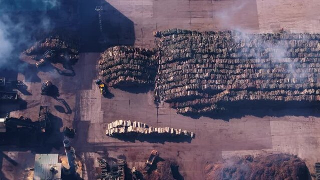 Aerial topdown shot of a smoke above stack of logs in open storage area at sawmill industry